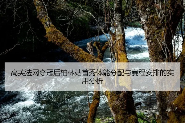 高芙法网夺冠后柏林站首秀体能分配与赛程安排的实用分析